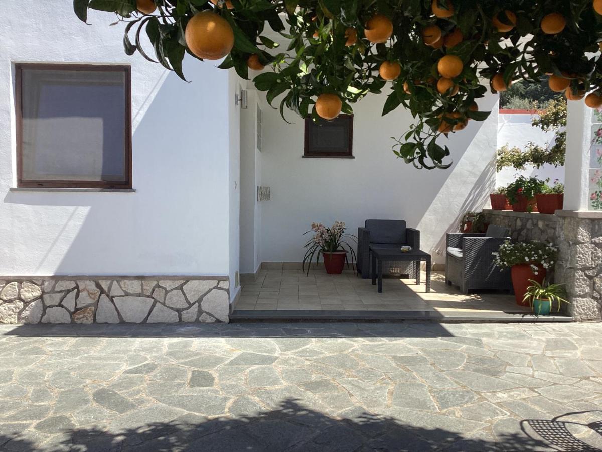 B&B Casetta Minghitto Anacapri  Bagian luar foto