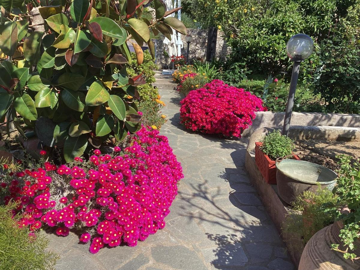 B&B Casetta Minghitto Anacapri  Bagian luar foto