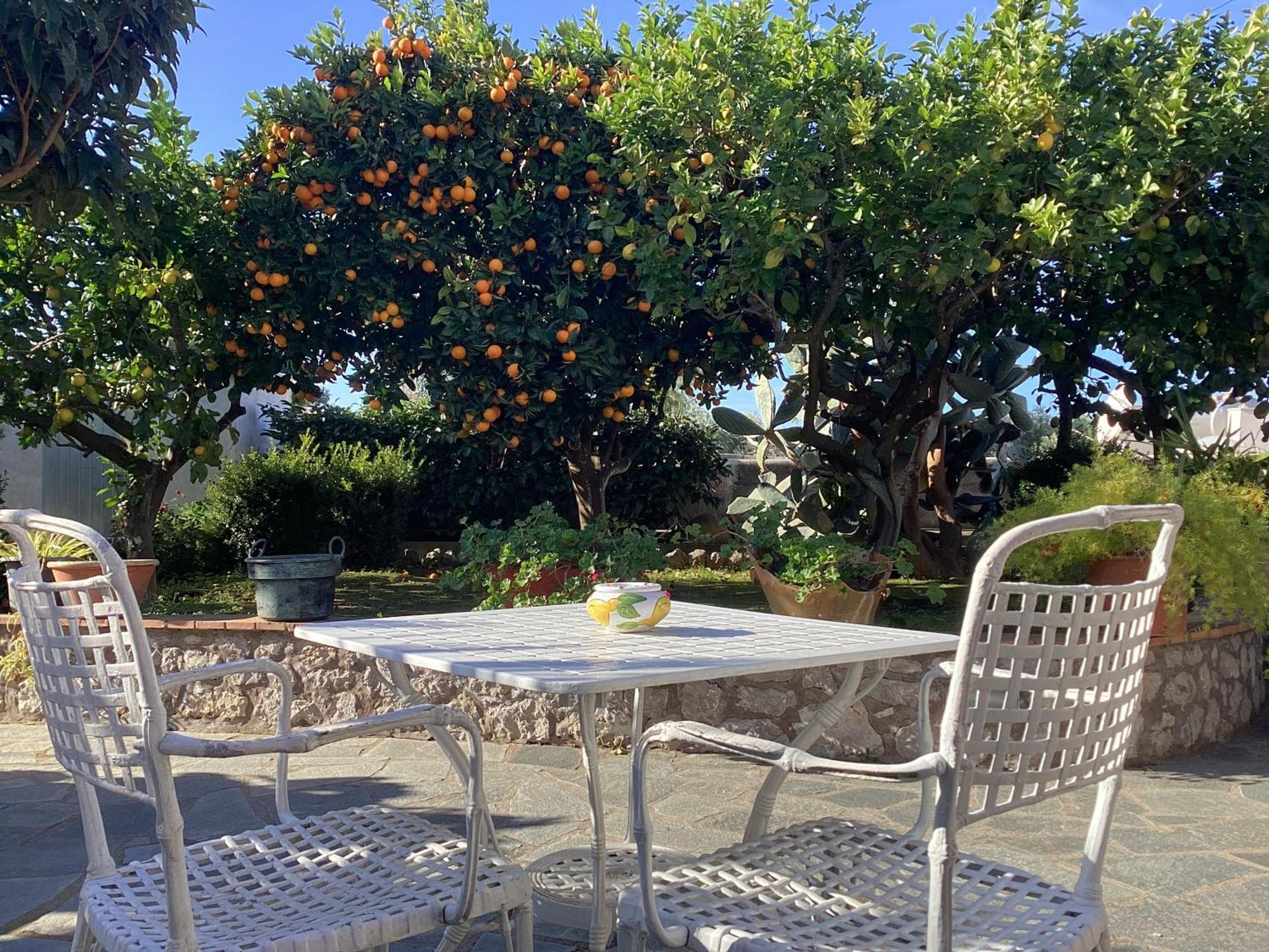 B&B Casetta Minghitto Anacapri  Bagian luar foto