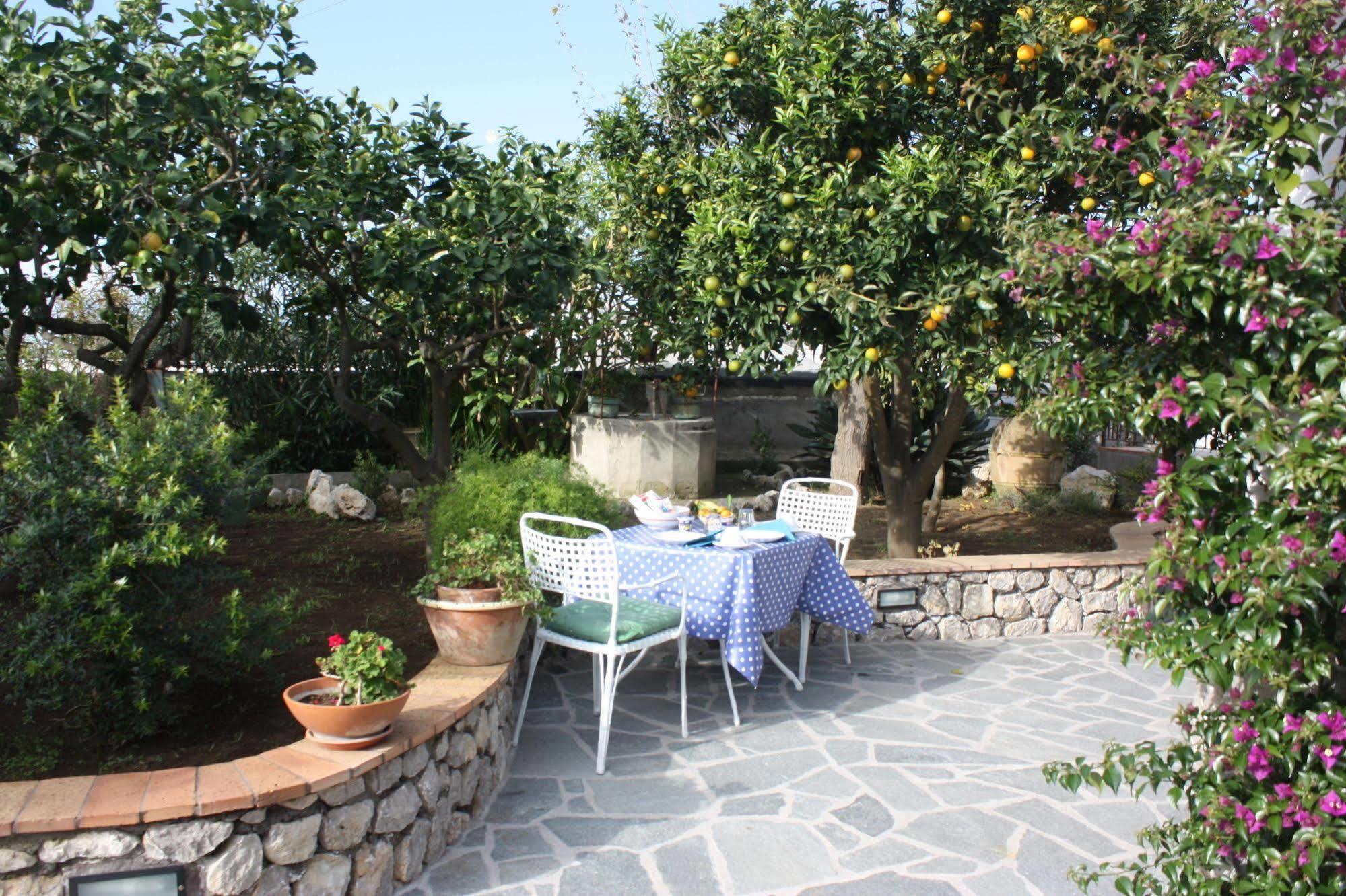 B&B Casetta Minghitto Anacapri  Bagian luar foto